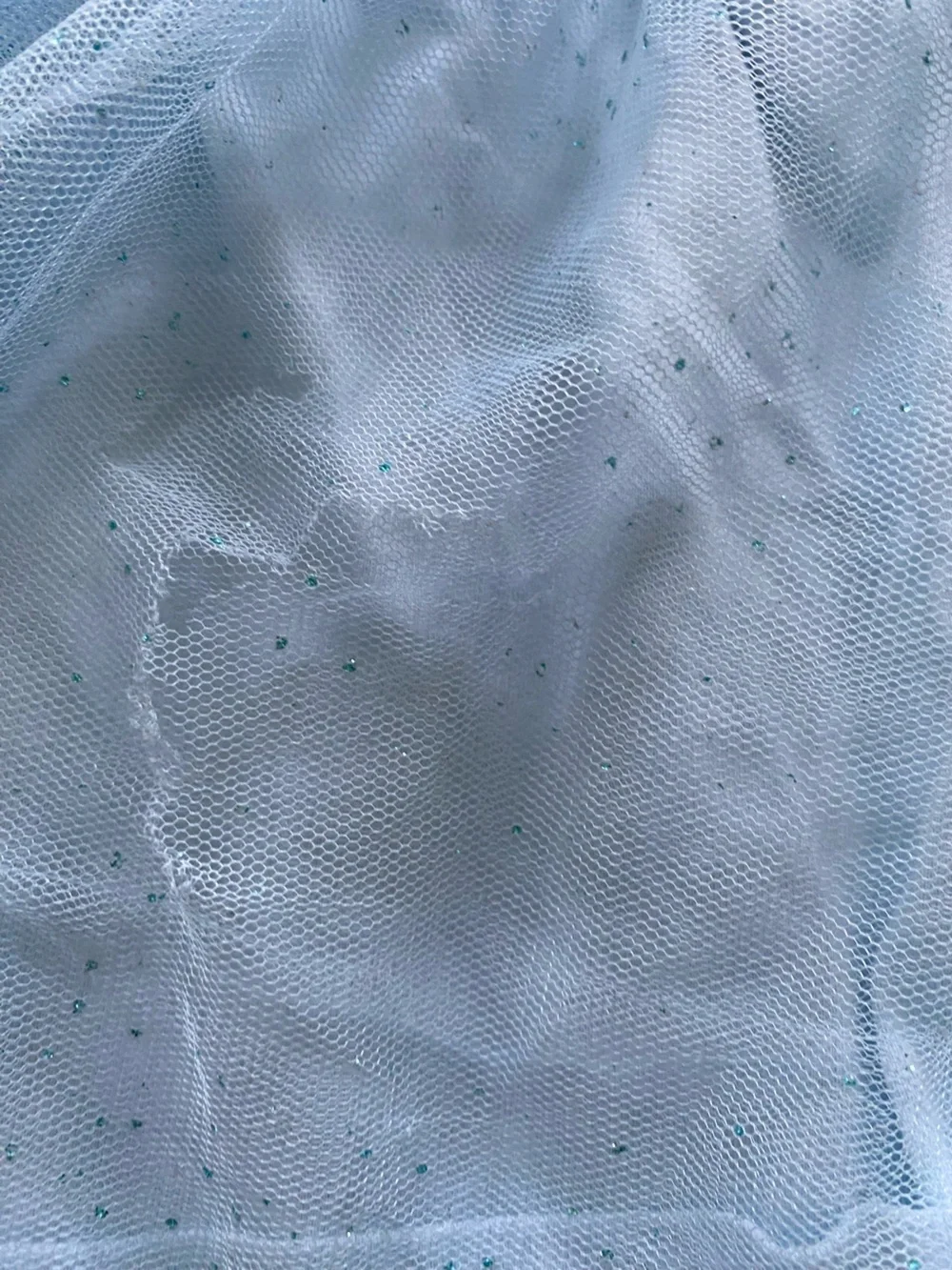 Twin Bluey tulle dresses, 5T.